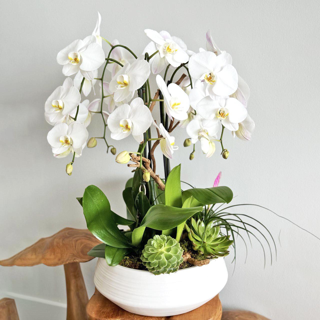 White blooms arrangement